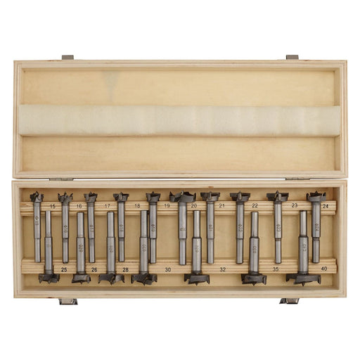 Draper 08930 Forstner Drill Bit Set (17 Piece)