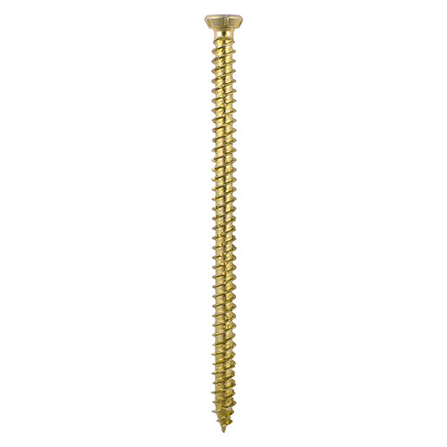 TIMCO Concrete Screws Flat Countersunk Gold — Bag