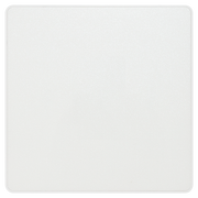 BG Electrical Evolve Pearlescent White - Single, blank plate