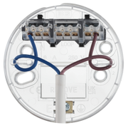 BG Electrical Ceiling Accessories - 6 flex and 3" base with decorators cover