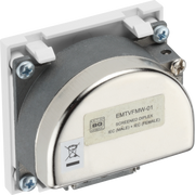 BG Electrical Euro Module - TV and radio - TV IEC male radio IEC female