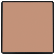 BG Electrical Evolve Polished Copper - Intermediate Switch