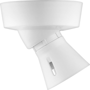 BG Electrical Ceiling Accessories - Enclosed, Angled, 2 terminal body, 3 terminals and earth in base, PVC tails, HO skirt