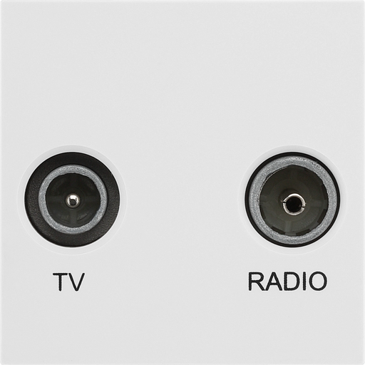 BG Electrical Euro Module - TV and radio - TV IEC male radio IEC female