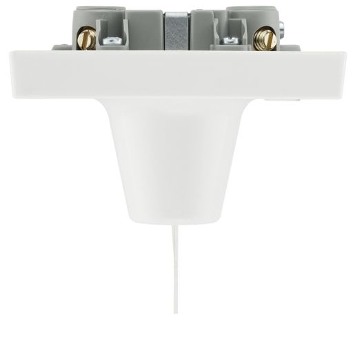 BG Electrical Ceiling Accessories - 50A double pole with indicator