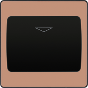 BG Electrical Evolve Polished Copper - Hotel key card switch