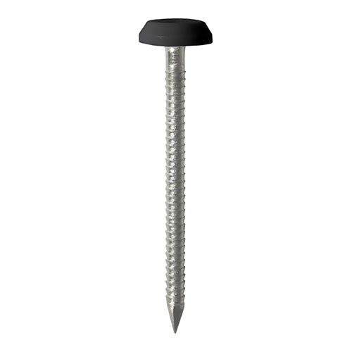 TIMCO Polymer Headed Nails A4 Stainless Steel — Trade Pack