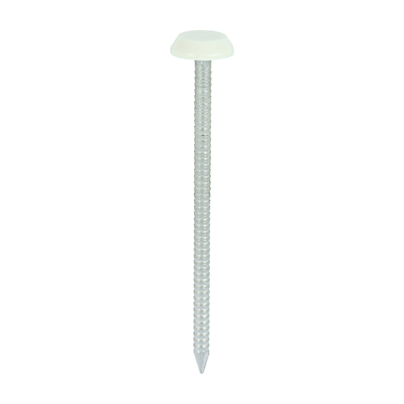TIMCO Polymer Headed Nails A4 Stainless Steel — Box