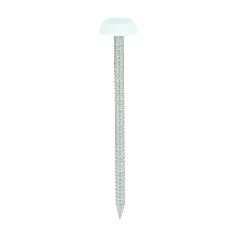 TIMCO Polymer Headed Nails A4 Stainless Steel — Box