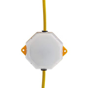 Draper 90094 110V SMD LED Festoon String Lights, 4W, 3,800 Lumens, 22m (Set of 10)