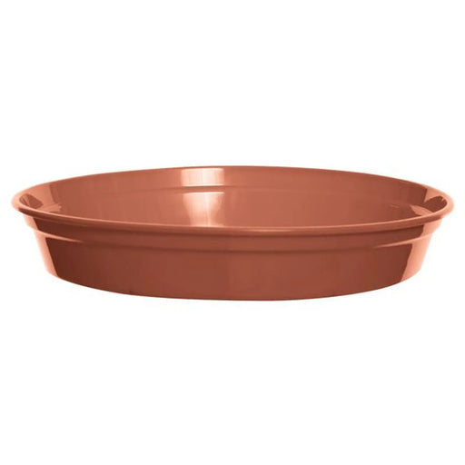 10Inch Saucer