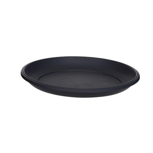 24cm Milano Saurcer Black