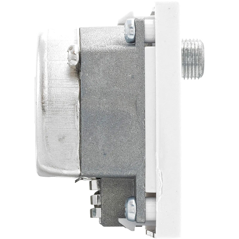 BG Electrical Euro Module - TV radio and satellite - TV IEC male, radio IEC female, satellite female