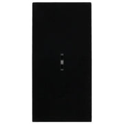 BG Electrical Euro Module - 20 AX 2 way, key switch