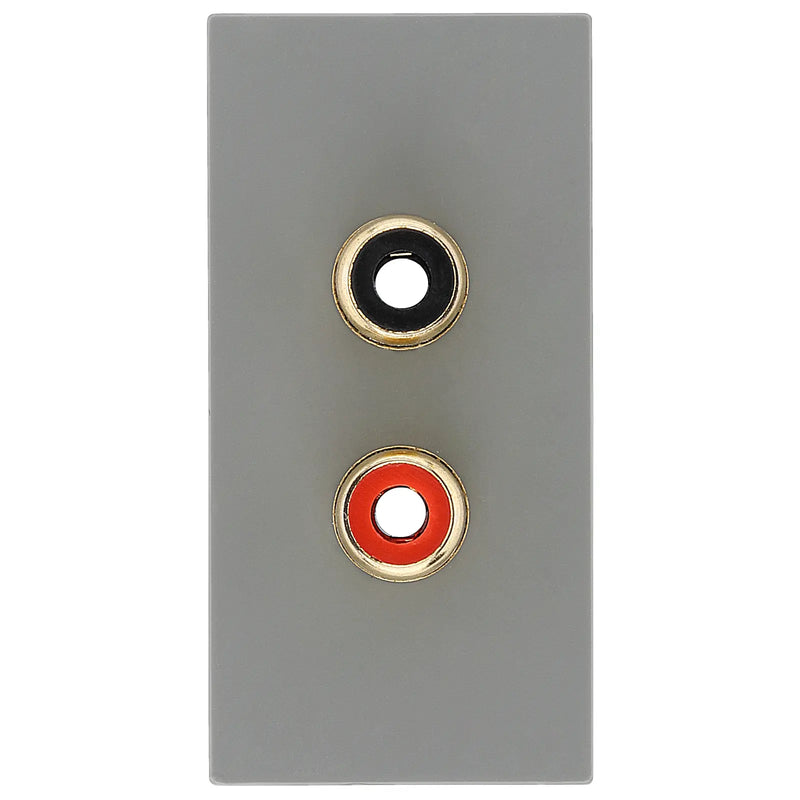 BG Electrical Euro Module - RCA x 2 outlet