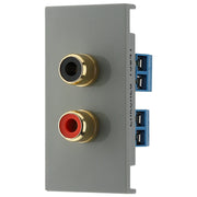 BG Electrical Euro Module - RCA x 2 outlet