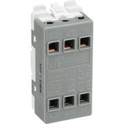 BG Electrical Grid - 3 pole fan isolator