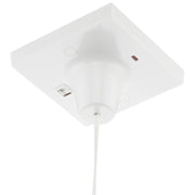 BG Electrical Part M - 45A, 1 way, with indicator, grey cord & bangle