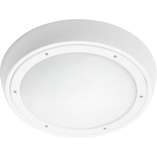 Luceco Atlas Anti Ligature - Atlas anti-ligature bulkhead 2160 lumens and fixed output driver