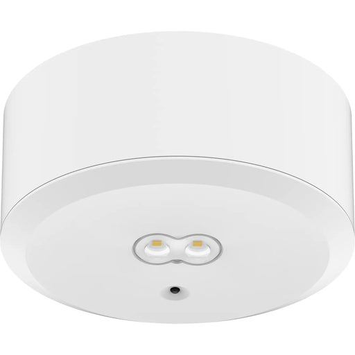 Luceco Tempus Dali Surface Downlight, 3hr, 3W, 240lm, White with Open Area and Corridor Optic