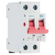 BG Circuit Protection Main Switch Isolator - Double Pole, 100A 2 module