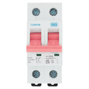 BG Circuit Protection Main Switch Isolator - Double Pole, 100A 2 module