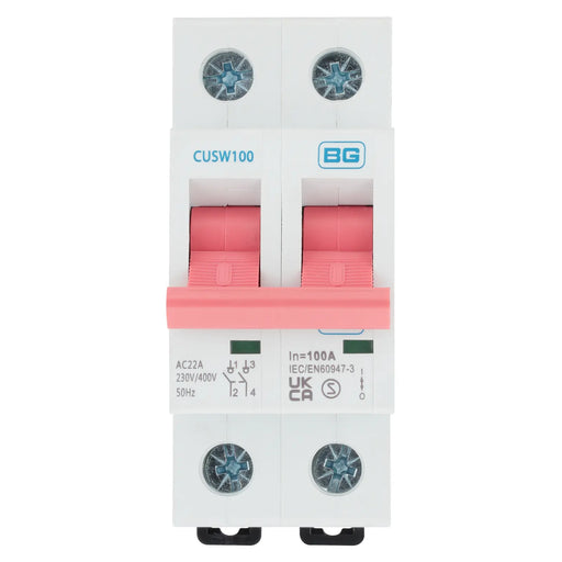 BG Circuit Protection Main Switch Isolator - Double Pole, 100A 2 module