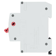 BG Circuit Protection Main Switch Isolator - Double Pole, 100A 2 module