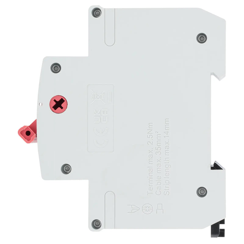 BG Circuit Protection Main Switch Isolator - Double Pole, 100A 2 module