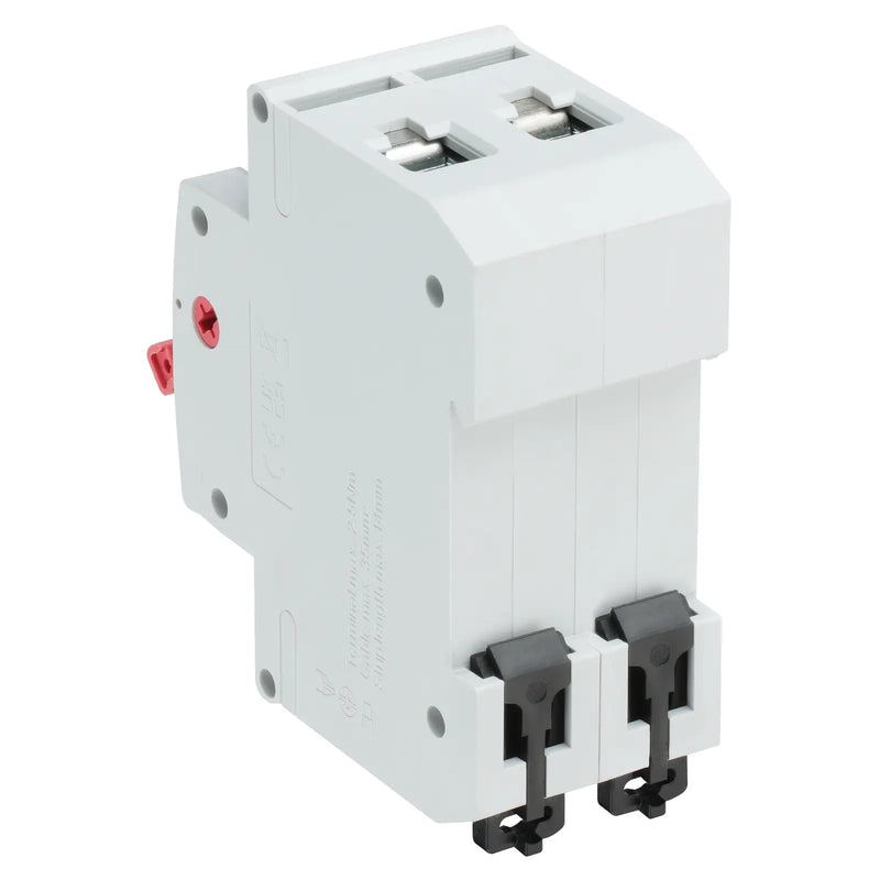 BG Circuit Protection Main Switch Isolator - Double Pole, 100A 2 module