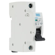 BG Circuit Protection MCB - Bidirectional 20A, B Curve, MCB, Single Pole, 6kA,1 module