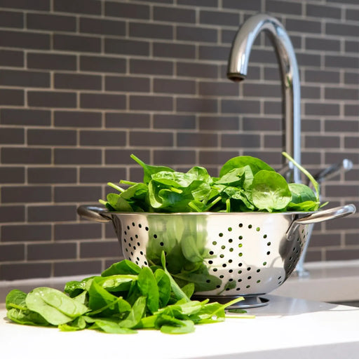 Mtk Housewares Stainless Steel Colander 2 Side Handles 23cm