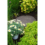Primeur Stepping Stone Cracked Log Earth 2x45x45cm