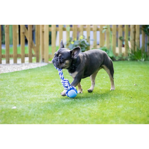 ROSEWOOD Twistable Tennis Ball Dog Tug