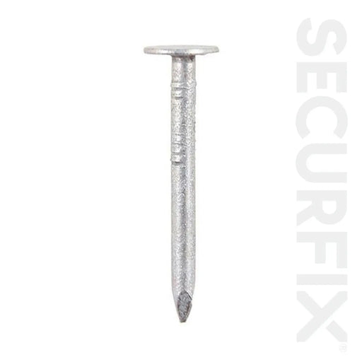 Securfix Clout Nails Galvanised 30mm 500g