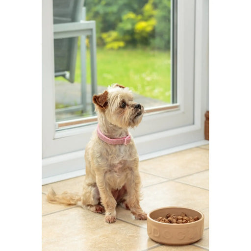 Mason Cash Cane Dog Bowl - Lettered 200mm