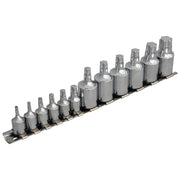 Bluespot Tools Mixed Drive TORX Socket Set, 12 Piece