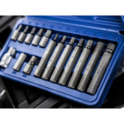 Bluespot Tools Hex Bit Set, 15 Piece