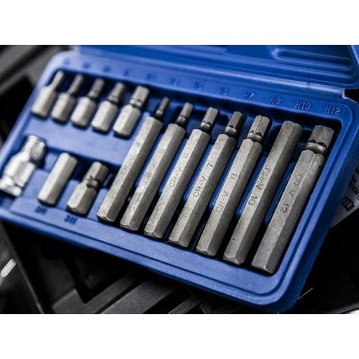 Bluespot Tools Hex Bit Set, 15 Piece