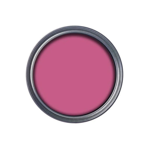 Ronseal Garden Paint Pink Jasmine 250ml