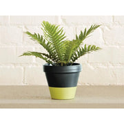 Ronseal Garden Paint Lime Zest 750ml