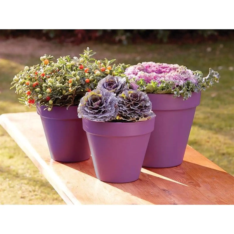 Ronseal Garden Paint Purple Berry 2.5 litre