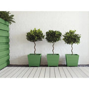 Ronseal Garden Paint Clover 250ml