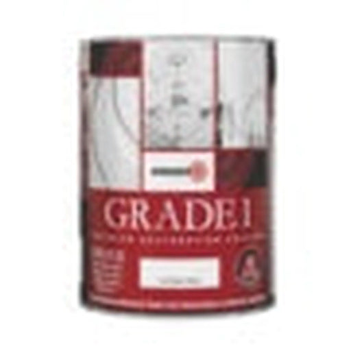Zinsser Grade 1 White Matt Mould Remover Paint 5L
