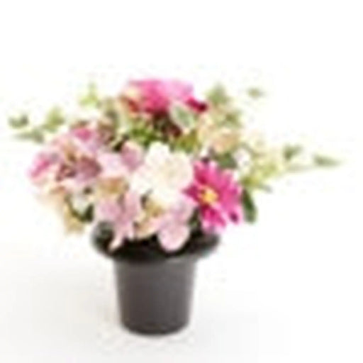 Oasis Everlasting Blooms Pot