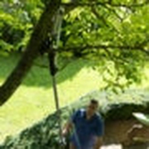 Wilkinson Sword Telescopic Tree Cutter 25mm
