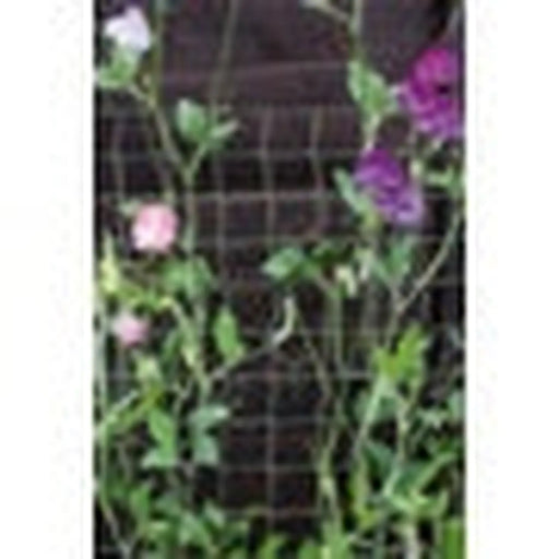 Ambassador Climbing Plant Support Tan 30 x 1m