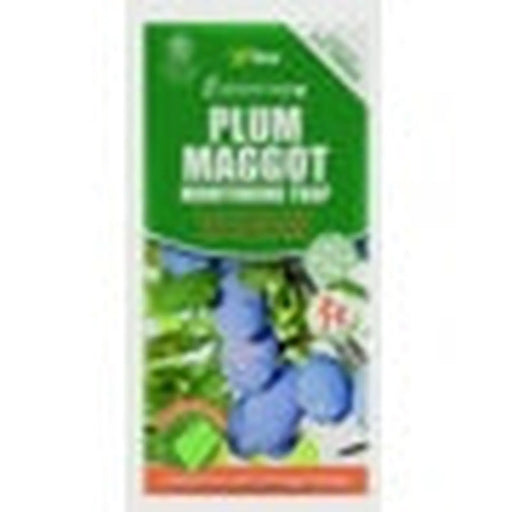 Vitax Plum Maggot Trap