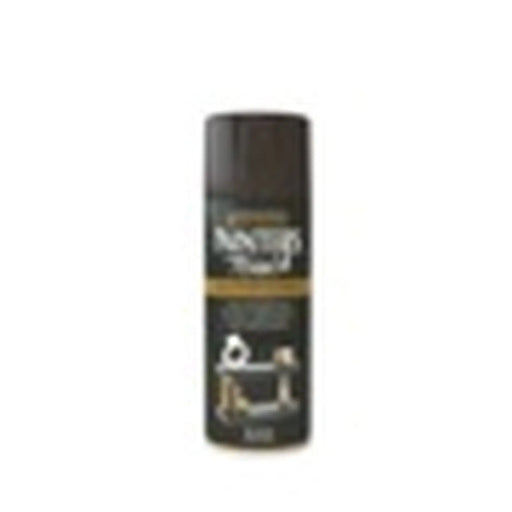 Rustoleum Painter's Touch Aerosol 400ml Black Gloss