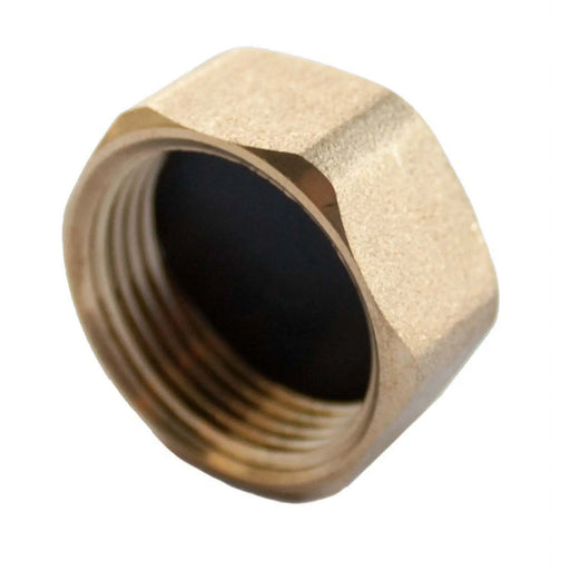 Securplumb Compression Blanking Nut 3/4"